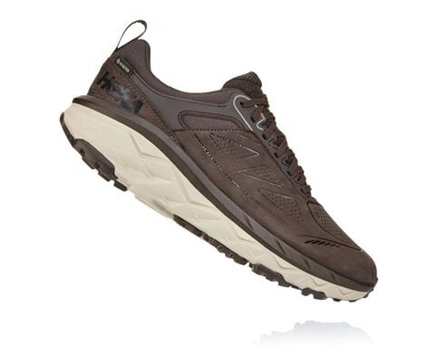 Hoka One One Challenger Låga Gore-Tex Trailskor Herr - Bröst - CFOPN-3587